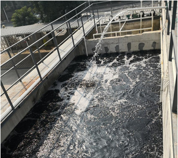 廣東食品污水(氨氮廢水)處理方案